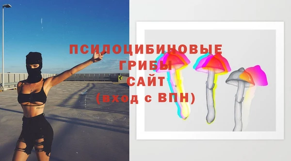 2c-b Армянск