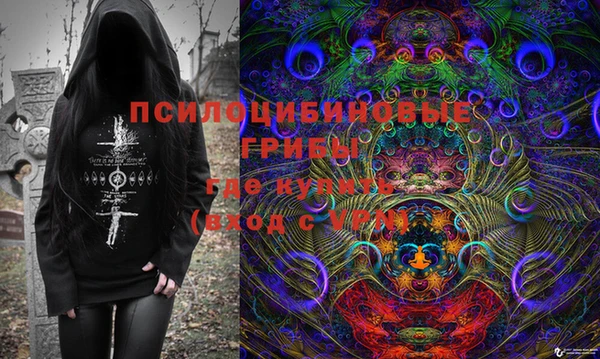 2c-b Армянск