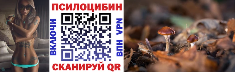 Псилоцибиновые грибы Magic Shrooms  МЕГА ССЫЛКА  Междуреченск 