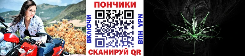 Каннабис сатива  Междуреченск 
